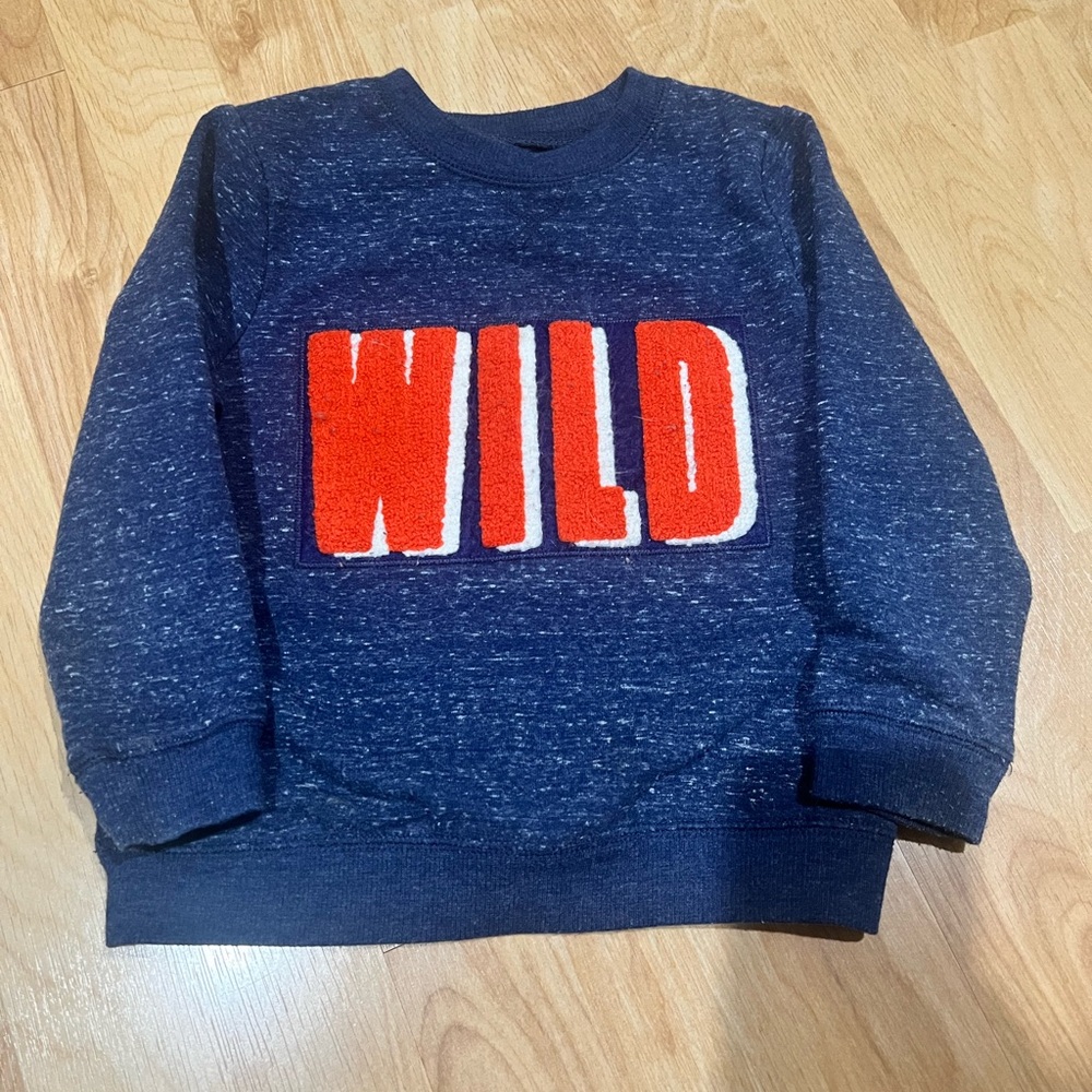 Boys pullover sweatshirt with fuzzy WILD letters